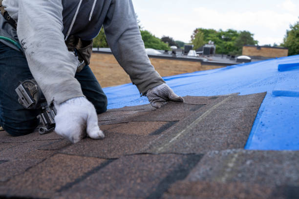 Best Storm Damage Roof Repair  in Mankato, MN